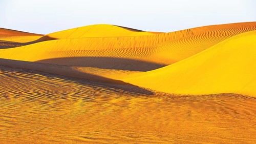 Wind-sculpted curved sand dunes in the Rub al Khali desert, Dhofar province, Arabian Peninsula,