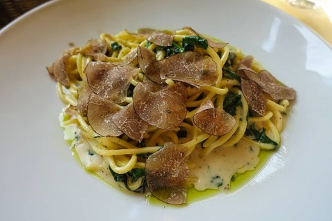 Pasta dish served on a plate, spaghetti with spinach and truffle, vegetarian, fine dining, South