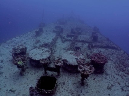 A ship deck covered with coral lies in the sea, dive site wreck of the USS Spiegel Grove, John