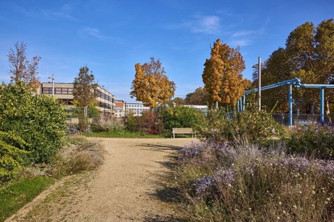 Duchess Garden, gardens with flowerbeds, paths and trees, asters (Aster), above-ground district