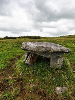 Unknown dolmen in a meadow, County Clare, Ireland, Europe