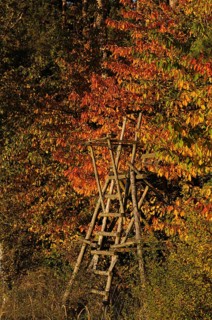 High seat at the edge of the forest in autumn leaves, Franconia