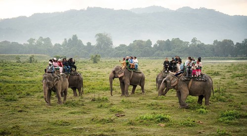 Tourists ride elephants during a safari at Kaziranga National Park on December 5, 2024 in