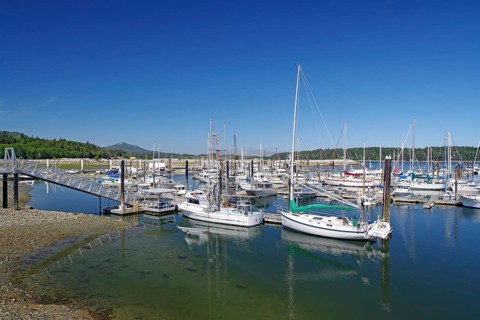 A harbour full of boats and sailboats under a clear blue sky, Cormorant Island, Vancouver Island,
