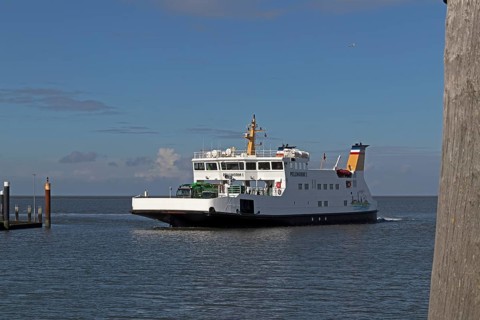 Pellworm ferry arrives, harbour, Strucklahnungshörn, Nordstrand, North Frisia, Schleswig-Holstein,
