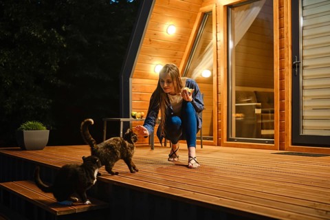 Cute woman sits on a wooden deck and playing with two curious cats