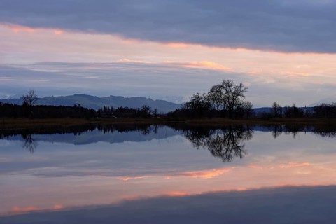 Evening atmosphere in the flooded Reussspitz nature reserve, Canton Zug, Switzerland, Europe