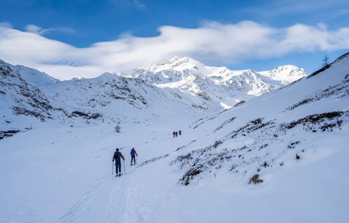 Ski tourers ascending in the rear Martell Valley, snow-covered mountain peak Monte Cevedale behind,