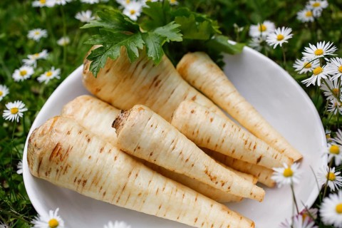 Swabian cuisine, raw parsley root for the preparation of parsley root and mashed potatoes for sour