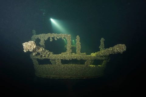 Underwater image of a shipwreck covered by mussels, Quagga triangle mussel (Dreissena rostriformis