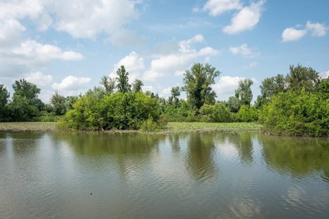 Parco del Mincio, Mantua, Italy, Europe