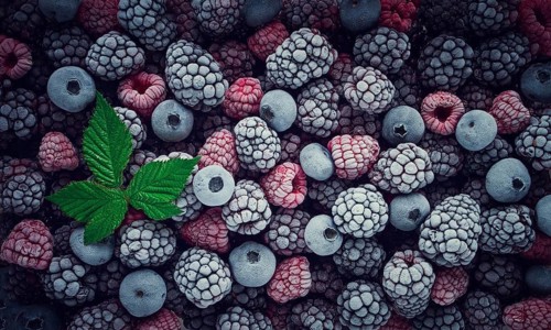 A close-up view features an array of frozen raspberries and blackberries, showcasing their unique