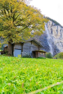 A barn stands next to an old tree with magnificent autumn leaves, near a waterfall, embedded in a