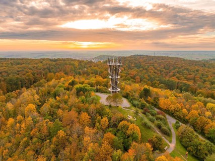Sunlight bathes the observation tower and the surrounding autumn forest in vibrant colours,