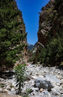 Hiking trail through the Samaria Gorge, south coast, Crete, Greece, Europe