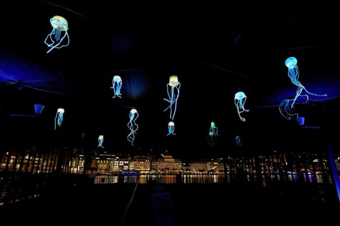 Coloured illuminated octopuses on the ceiling of the boat station, Lilu, Light Festival 2025,