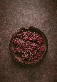 Shtoshi berry, Shepherd's pie, a hybrid of sea buckthorn and barberry, top view, no people