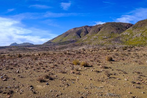 In the Karoo Desert, Weltevrede Road, near Prince Albert, Western Cape, South Africa, Africa