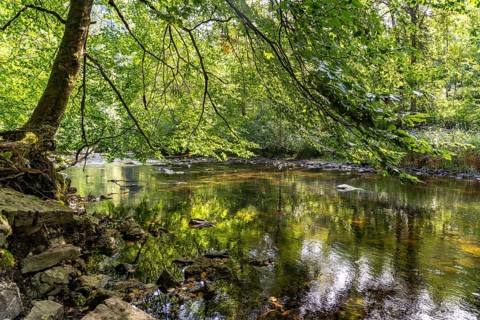 The River Wutach in the Wutach Gorge, Black Forest, Baden-Württemberg, Germany, Europe