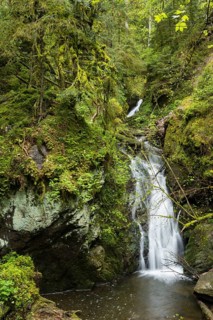 Moss-covered rocks and waterfall, Wutach Gorge, Bonndorf, Baden-Württemberg, Black Forest, Germany,