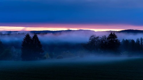 Landscape in the Little Odenwald. Meadow, trees and forest. After sunset, with rising mist (ground
