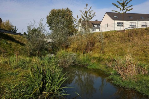 Recklinghausen, North Rhine-Westphalia, Germany, renaturalised Hellbach, renaturalised watercourse,