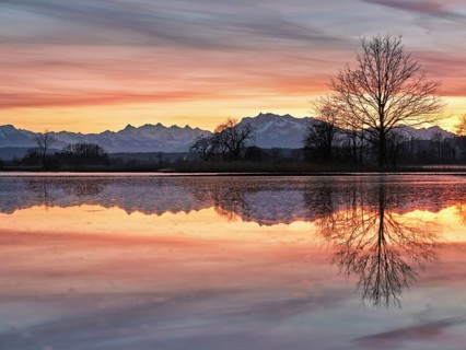 Pilatus reflected in the flooded nature reserve in the evening light, Reussspitz, Hünenberg, Canton
