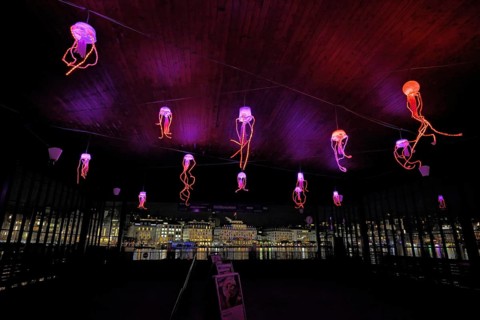 Coloured illuminated octopuses on the ceiling of the boat station, Lilu, Light Festival 2025,