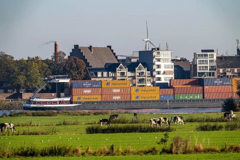 Skyline of Emmerich, on the Lower Rhine, pastures on the left bank of the Rhine, cows, container