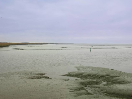 Low tide, mudflats, Dollart, Nieuwe Statenzijl, Netherlands