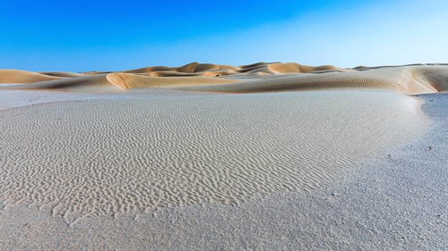 Wind-sculpted curved sand dunes in the Rub al Khali desert, Dhofar province, Arabian Peninsula,