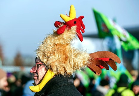 Thousands of demonstrators at the Wir haben es satt! demonstration, thousands of demonstrators