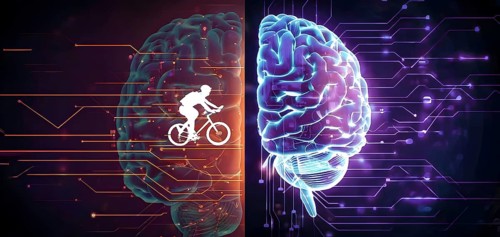 Abstract brain split into two halves, one side athletic motion, the other side neural network,
