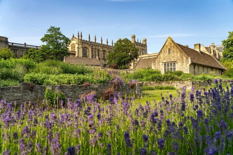 War Memorial Garden of Christ Church College, Oxford, Oxfordshire, England, Great Britain