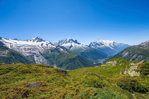 Mountain panorama with glaciated mountain peaks, Aiguille Verte with Aiguille du Midi and Mont