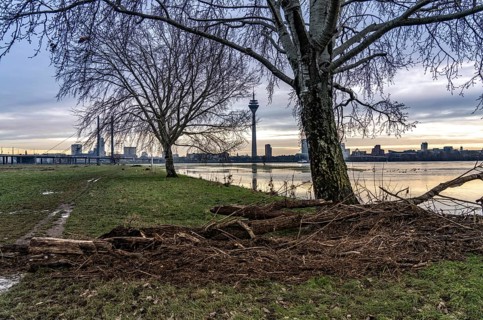 View of the Rhine knee bridge over the Rhine near Düsseldorf, Media Harbour, from the Rhine meadows