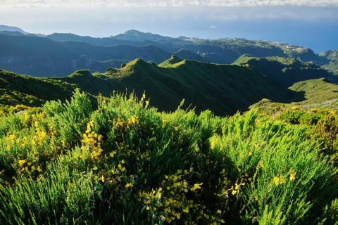 View from hike trail path to Pico Ruivo, Madeira