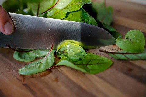 Southern German cuisine, preparation of sorrel soup with char, blood sorrel (Rumex sanguineus),