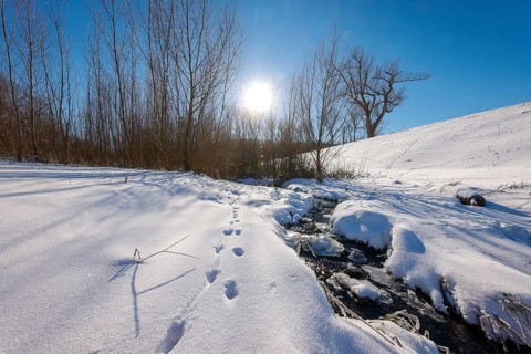Bochum, North Rhine-Westphalia, Germany - Sunny winter landscape in the Ruhr area, ice and snow on