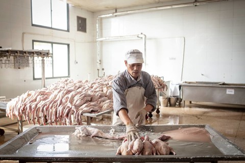 Production of salted ducks factory Nan Jing Ying Tao Yo Co. Ltd., for consumption in restaurants