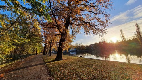 Autumnal walk along a river at sunrise with colourful foliage and a peaceful atmosphere, Bernburg