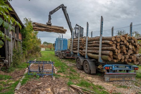 Unloading logs from a log transporter, Othenstorf Estate, Mecklenburg-Western Pomerania, Germany,