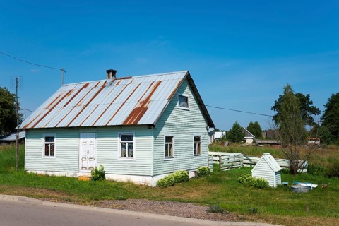 Small green wooden house with metal shingle roof and garden in a quiet rural setting, house and dog