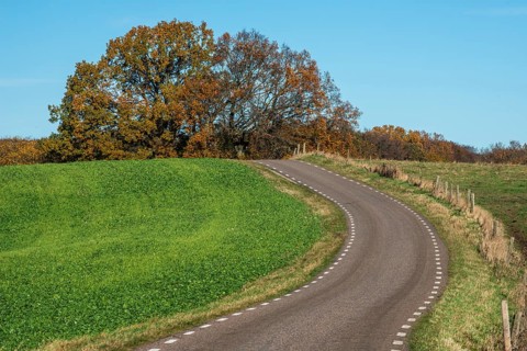 Curvy road through landscape in autumn and by fields with recently sown rapeseed in Ystad