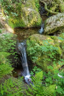 The Edelfrauengrab waterfalls near Ottenhöfen in the Black Forest, Black Forest, Baden-Württemberg,