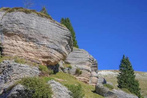 Surface karst rock formations, circular hike Monte Fior, Foza, province of Vicenza, Italy, Europe