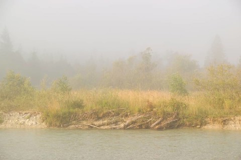 Isar valley nature conservancy area. The wild Isar river flows through its gravel bed past