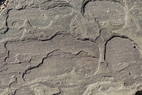 Texture of a boulder with moss and lichen