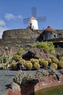 Cactus garden, Jardin de Cactus, designed by the artist César Manrique, behind the restored gofio