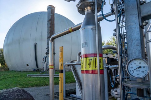 Biogas storage, biogas treatment plant, purification of biogas from organic waste, green waste and